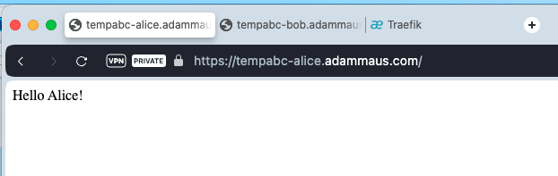 Image of Alice's Website